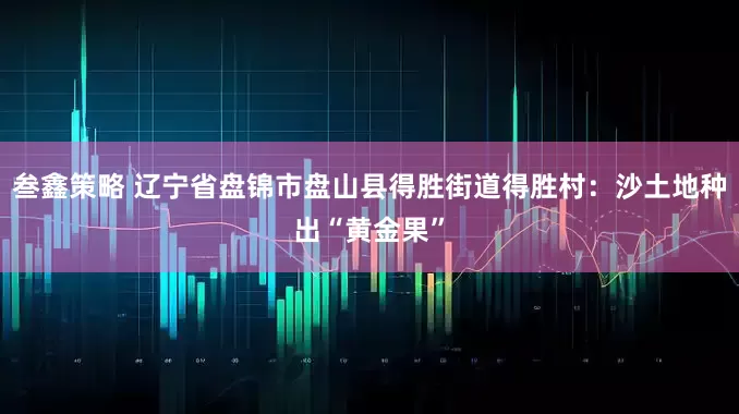 叁鑫策略 辽宁省盘锦市盘山县得胜街道得胜村：沙土地种出“黄金果”