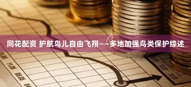 同花配资 护航鸟儿自由飞翔——多地加强鸟类保护综述
