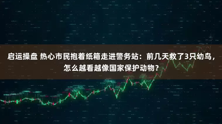 启运操盘 热心市民抱着纸箱走进警务站：前几天救了3只幼鸟，怎么越看越像国家保护动物？