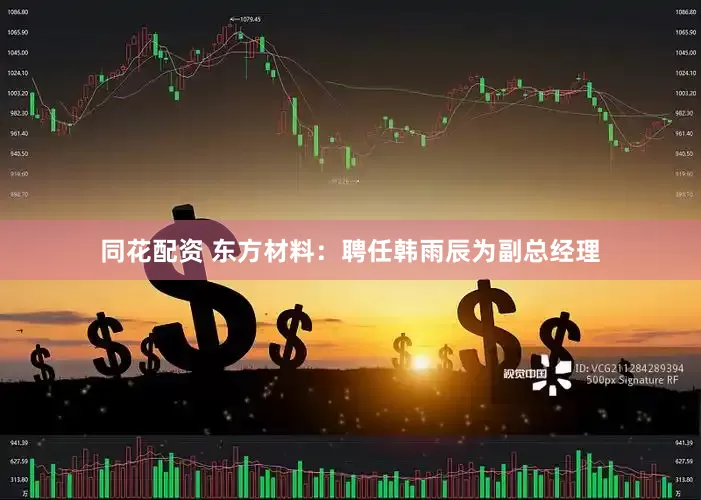 同花配资 东方材料：聘任韩雨辰为副总经理