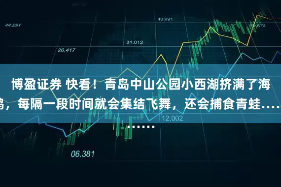 博盈证券 快看！青岛中山公园小西湖挤满了海鸥，每隔一段时间就会集结飞舞，还会捕食青蛙……